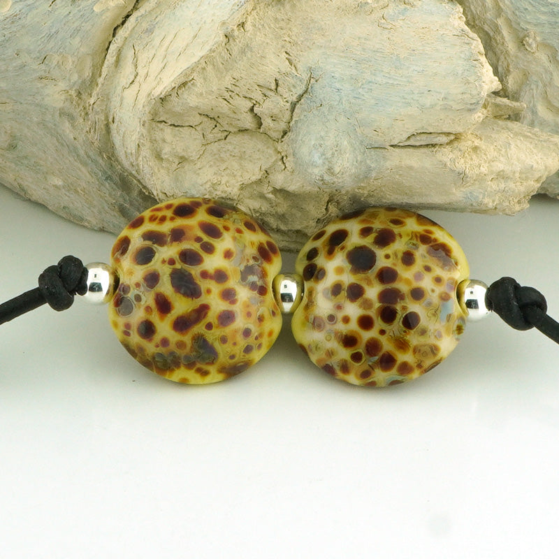 Tortoise Brown Lentil Pair (S1011)